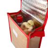 Bolsa nevera SERRETA Stamina