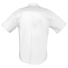 Camisa ajustada talla grande Sol's BRISBANE blanca