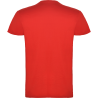 Camiseta Roly BEAGLE Kids colores