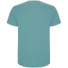 Camiseta Roly Stafford colores
