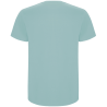 Camiseta Roly Stafford colores