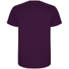 Camiseta Roly Stafford colores