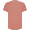 Camiseta Roly Stafford K colores