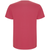 Camiseta Roly Stafford K colores