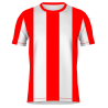 Conjunto fútbol sublimado Argentina