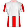 Conjunto fútbol sublimado Argentina