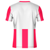 Conjunto fútbol sublimado Argentina