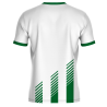 Conjunto fútbol sublimado Mil Rayas