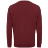 Sudadera tallas grandes cuello redondo de algodón orgánico Iqoniq ZION colores
