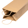Bolsa de papel PINUS Stamina