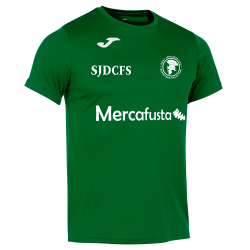 Samarreta verda Record