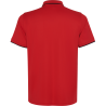Polo técnico Roly SIAN