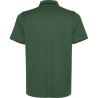 Polo técnico Roly SIAN