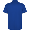 Polo técnico Roly SIAN
