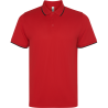 Polo técnico Roly SIAN