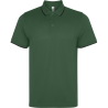 Polo técnico Roly SIAN