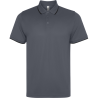 Polo técnico Roly SIAN