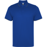 Polo técnico Roly SIAN