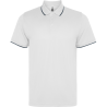 Polo técnico Roly SIAN