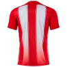 Camiseta de fútbol Joma TIGER VIII