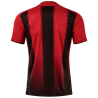 Camiseta de fútbol Joma TIGER VIII