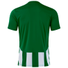 Camiseta de fútbol Joma INTER VI