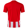 Camiseta de fútbol infantil Joma INTER VI