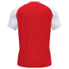 Camiseta infantil Joma ACADEMY IV